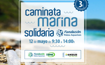 Caminata Marina Solidaria