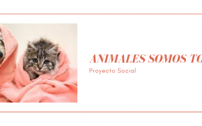 Proyecto social “Animales somos TODOS”